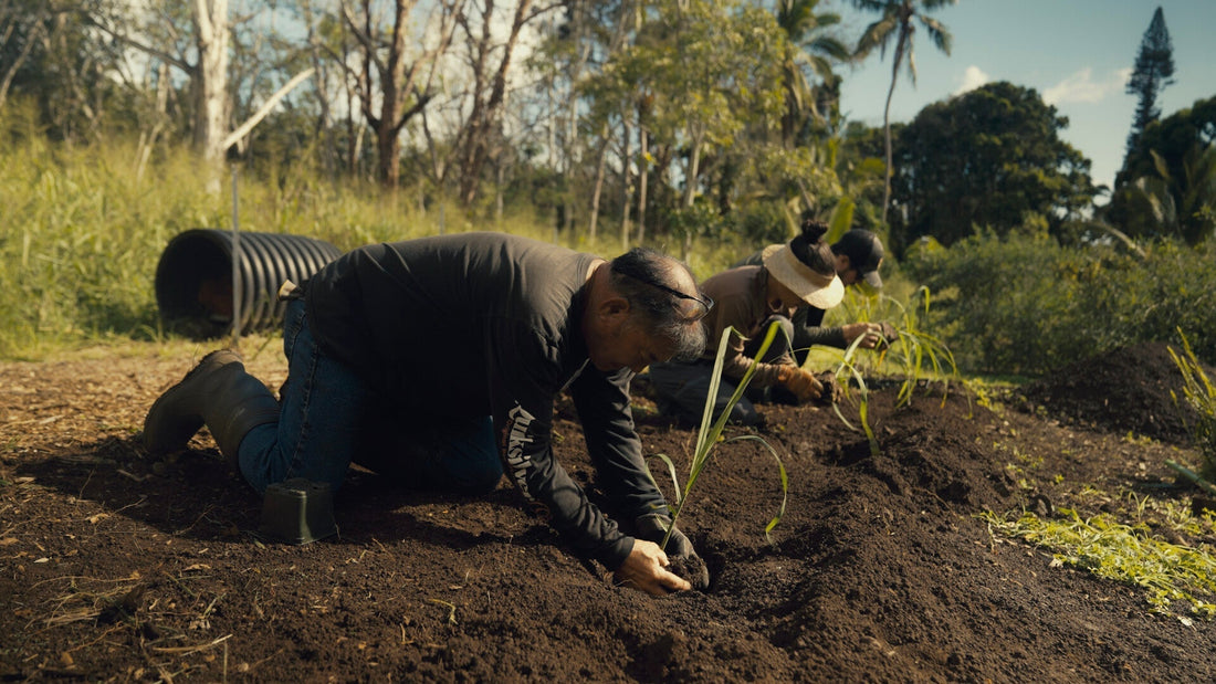 Watch: Seeing with Hawaiian Eyes